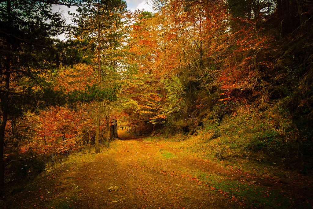 Parque Natural Sierra De Cebollera